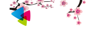 60小说